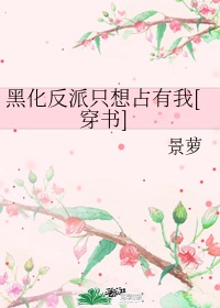 h的小说