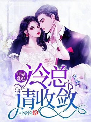 SEO短视频网页入口网站推广