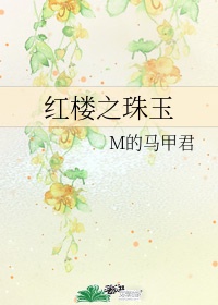 金瓶梅 单立文