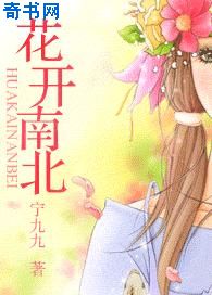 斗破苍穹免费观看完整版