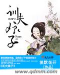 秦时明月丽人心全集
