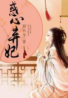 雾里人生小说免费阅读