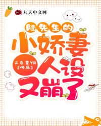 甄珠全文阅读书