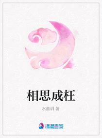 变形金刚之超级火种