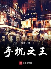 恋爱辅助器小说