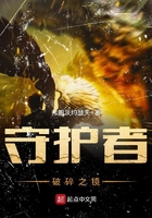 鸡毛飞上天电视剧全集无须会员