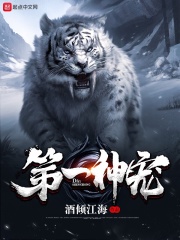 恰似寒光遇骄阳免费观看