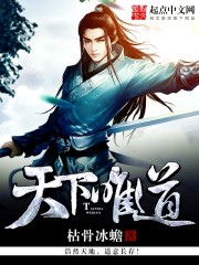 风流大宝