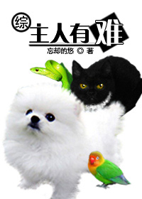 free护士性