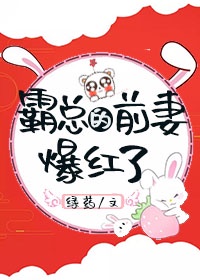4v20狗磊打架完整版视频