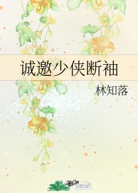 少林寺传奇之大漠英豪