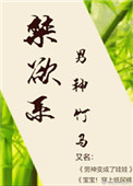 刘海瑞张慧
