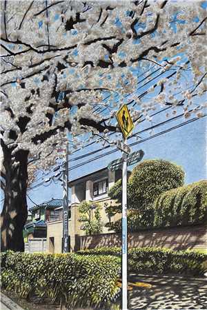 7y7y玛雅地址