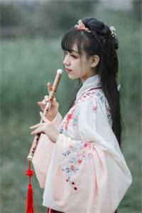 白杰小说目录完整版