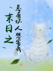 97理论典电影院免费