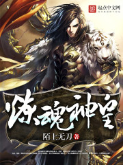 无遮挡又黄又爽又色的视频免费