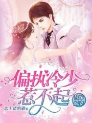 从后面按在桌子上糟蹋视频