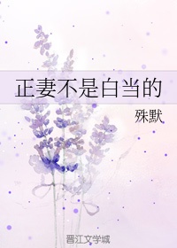 苏沫沫厉司夜小说