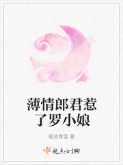 夺宝传奇电视剧