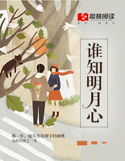 2024二十大