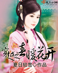 翩翩冷少俏佳人小说