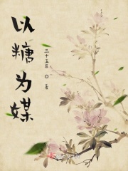 美人心计免费完整版电视剧全集