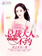 岳小说