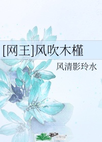 布衣天下1