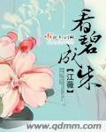 制服丝袜综合