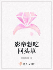旷野里的星小说全文免费阅读