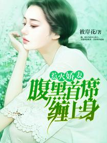 大叔请克制小说简介