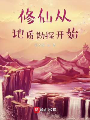 一路向西播放
