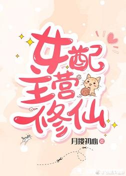 电视剧营盘镇警事