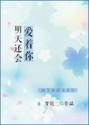 迷羊的小说