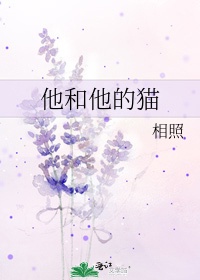 花开半夏老于完结全文