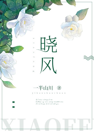 seegasm小猫系列百度云