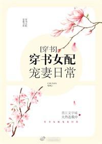 农村一级乱小说