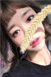 百彩网资料免费大全