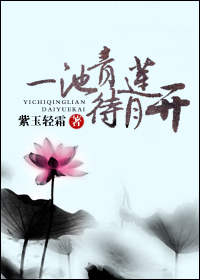 国产免费网站看v片元遮挡