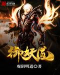 德国大8BW