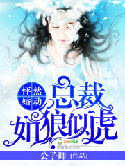 重生之男后倾城