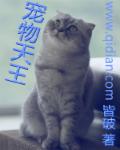 天使驾到之一夜精喜