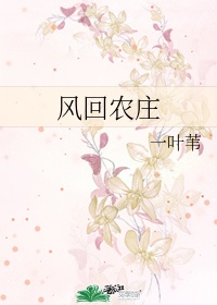 美女视频在线观看网站