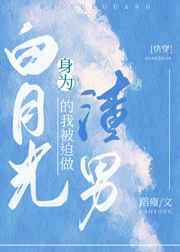 陈坤老婆