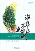 91视频这里只有精品