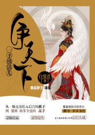 年年月月柿柿红