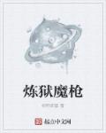 巨棒少年与艳妇小说