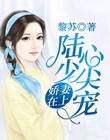 苹果15pro灵动岛功能怎么设置
