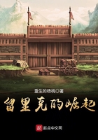 在年代文中不思进取