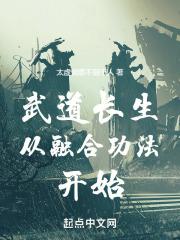 漾出overflow2未增删带翻译